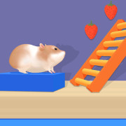 Hamster Maze